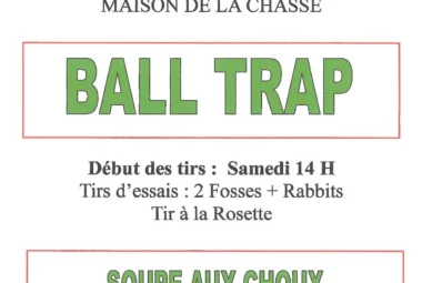 Ball trap