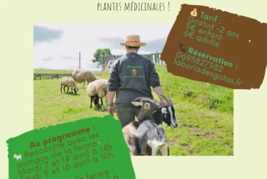 La Boria des Gotas – visite de ferme