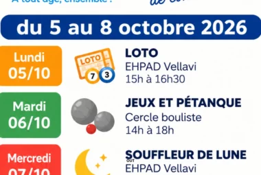 Semaine bleue – jeux et pétanque