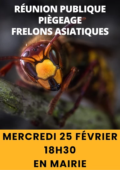Réunion publique – Piégeage du frelon asiatique